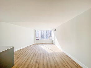 2 E Oak St in Chicago, IL - Building Photo - Building Photo