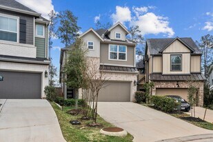 120 Red Cascade Trl in Willis, TX - Building Photo