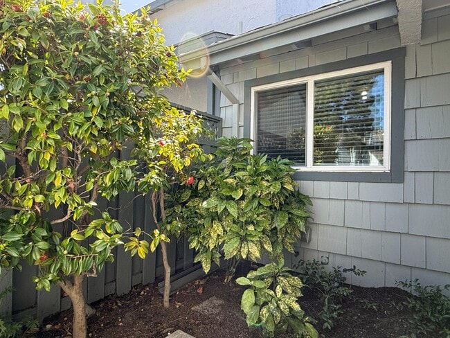 972 Diaz Ln in Foster City, CA - Building Photo - Building Photo