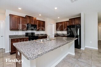 17205 Beach Buttercup Pl in Wimauma, FL - Building Photo - Building Photo