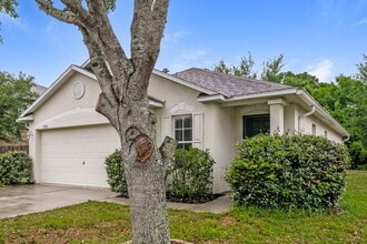 17036 Lixberry Way in Land O Lakes, FL - Foto de edificio - Building Photo