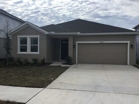 20466 Calla Lily Dr in Land O Lakes, FL - Building Photo