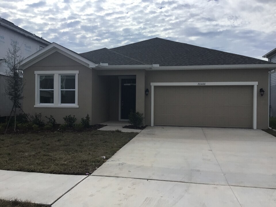 20466 Calla Lily Dr in Land O Lakes, FL - Building Photo