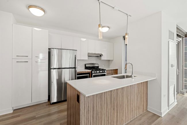 343 N Orleans St in Chicago, IL - Building Photo - Building Photo