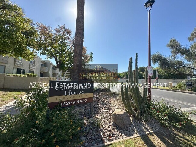 4620 N 68th St in Scottsdale, AZ - Building Photo - Building Photo