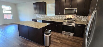 153 Purple Sandpiper Ln in Leander, TX - Building Photo - Building Photo