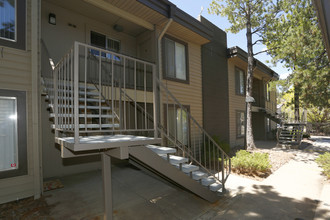 Pine View Village Apartments in Flagstaff, AZ - Foto de edificio - Building Photo