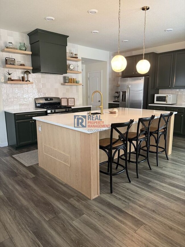 2909 Comet St in Fort Collins, CO - Foto de edificio - Building Photo