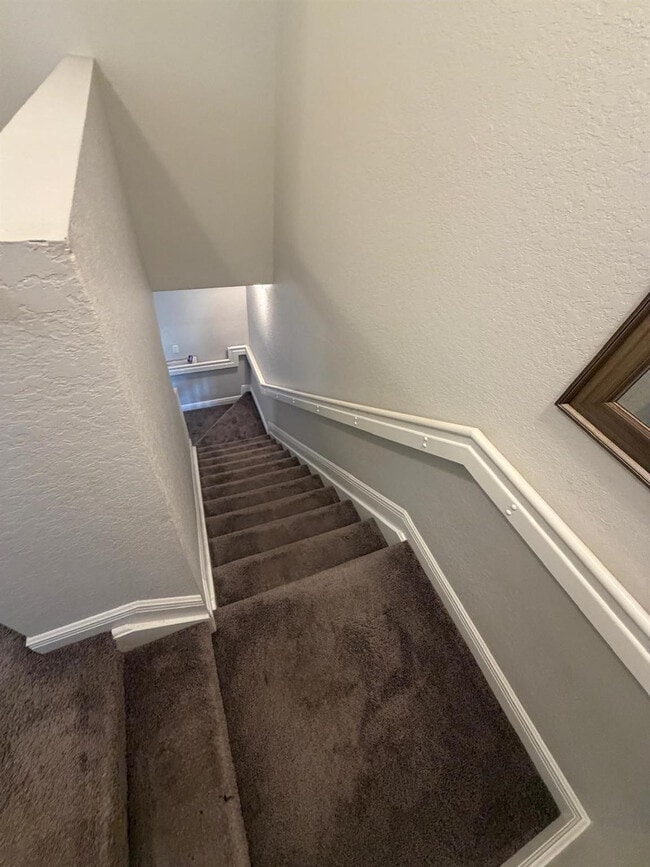 7401 Palomino Dr in Hollywood, FL - Building Photo - Building Photo