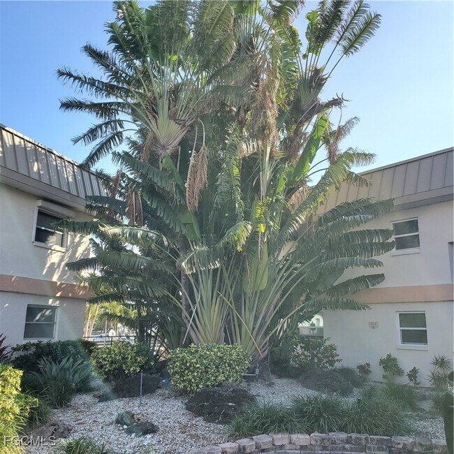 828 Victoria Dr in Cape Coral, FL - Building Photo - Building Photo