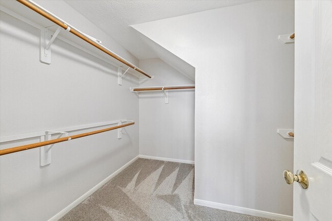 12019 Costa Del Rey Ct