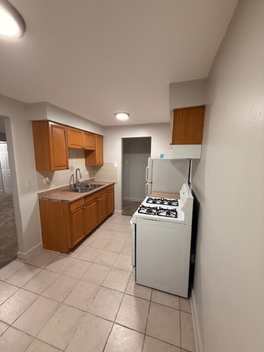 519 Madison Ave in Calumet City, IL - Building Photo