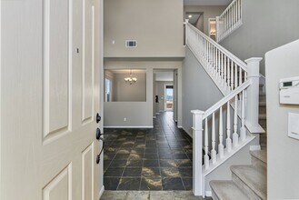 6295 Plum Way in San Diego, CA - Building Photo - Building Photo
