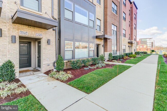 44752 Tiverton Sq in Ashburn, VA - Building Photo - Building Photo