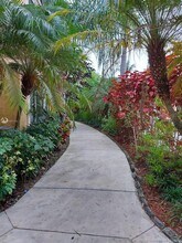 10441 SW 155th Ct-Unit -922 in Miami, FL - Building Photo - Building Photo