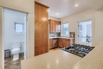 854 N Downing St in Denver, CO - Building Photo - Building Photo
