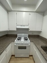 11459 Collins St in Los Angeles, CA - Building Photo - Building Photo