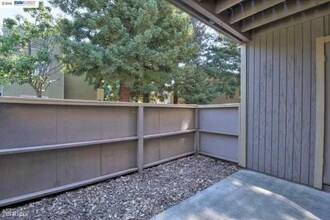 37294 Spruce Terrace in Fremont, CA - Building Photo - Building Photo