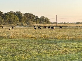 5260 SW County Rd in Corsicana, TX - Building Photo