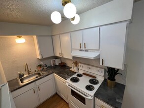 4209 Avenue B in Austin, TX - Building Photo - Building Photo