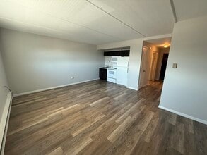 1128 Des Plaines Ave in Forest Park, IL - Foto de edificio - Building Photo