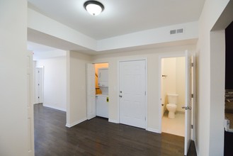 6 Units in Pilsen - Beautifully Rehabbed in Chicago, IL - Building Photo - Interior Photo