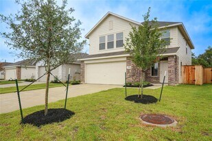 17914 Becker Lndg Dr in Hockley, TX - Building Photo