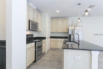 5208 Bannister Park Lane in Lithia, FL - Building Photo - Building Photo