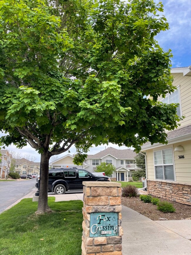 property at 3606 Ponderosa Ct