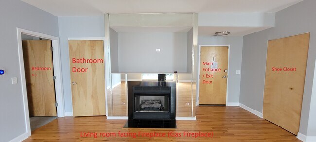 1808 S Michigan Ave, Unit 17 in Chicago, IL - Foto de edificio - Building Photo