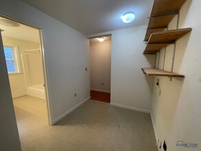 11 Pine St in Hamilton, NY - Building Photo - Building Photo