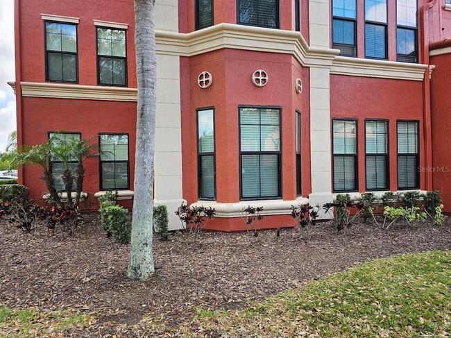 2713 Via Murano in Clearwater, FL - Foto de edificio - Building Photo