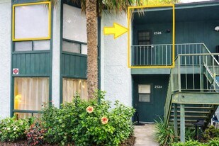 2526 Lemon Tree Ln in Orlando, FL - Building Photo