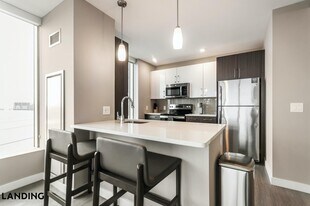 513 S Damen Ave in Chicago, IL - Building Photo