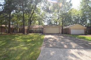 56 Fallshire Dr in Spring, TX - Building Photo