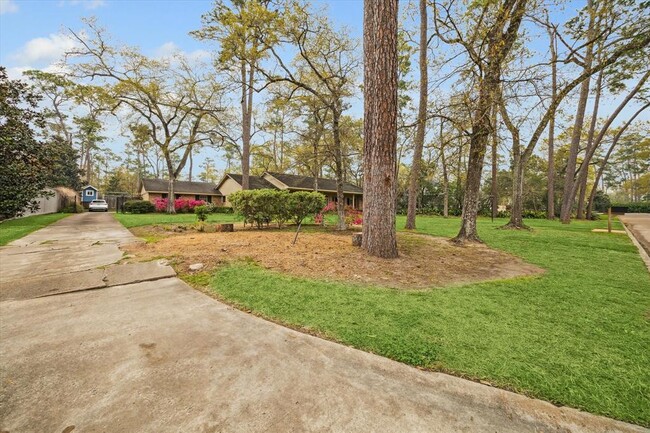 11606 Shady Grove Ln in Houston, TX - Foto de edificio - Building Photo