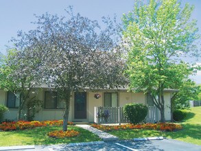 The Meadows in Pickerington, OH - Building Photo - Building Photo