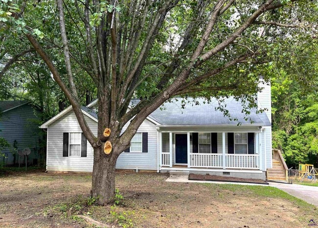property at 536 Loblolly Ln