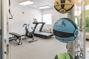 Vivo Living New Braunfels II