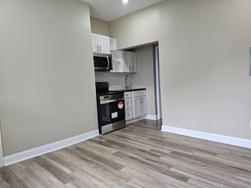 233 W Madison St in Rochester, PA - Building Photo