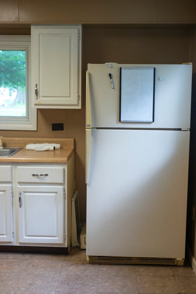 321 E Washington St in Flora, IL - Building Photo - Building Photo