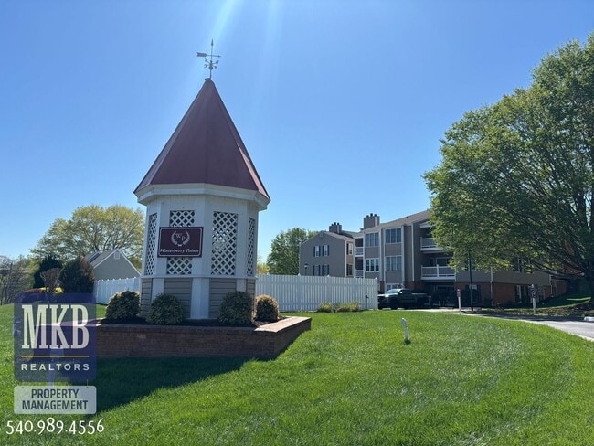 3048 Winterberry Dr in Cave Spring, VA - Building Photo - Building Photo