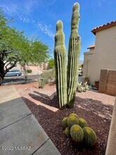 780 E Sediment Dr in Tucson, AZ - Building Photo - Building Photo