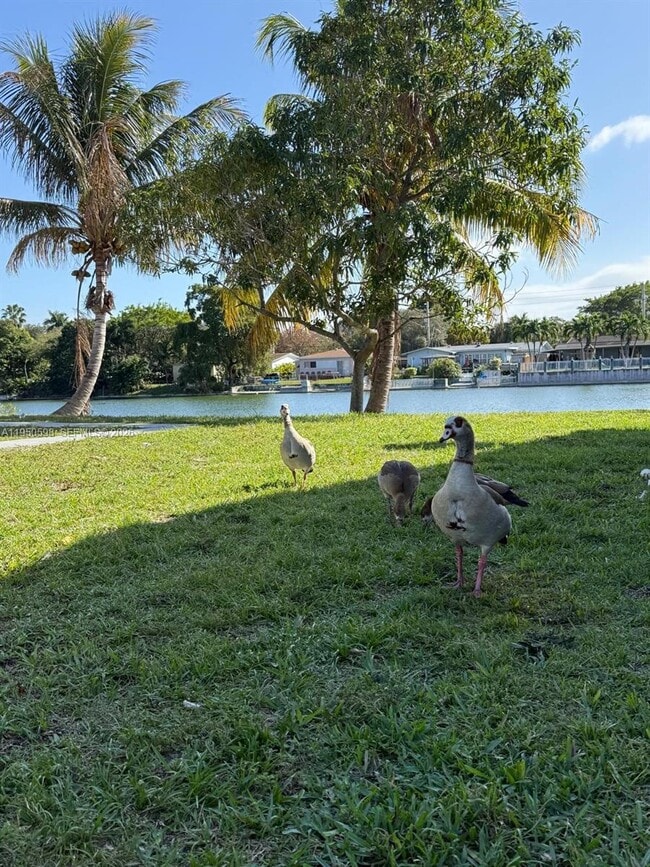 1054-1058-1058 SW 2nd St in Hallandale Beach, FL - Building Photo - Building Photo