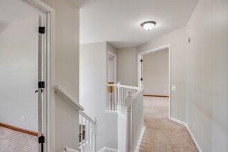 1431 Tara Belle Pkwy in Naperville, IL - Building Photo - Building Photo