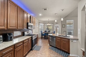 15818 Mossy Shores Ct in Houston, TX - Building Photo - Building Photo