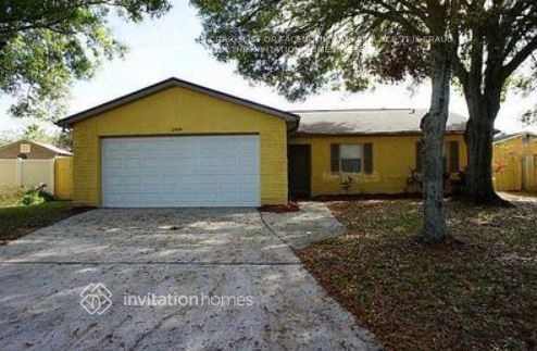 1909 Saginaw Ct in Oldsmar, FL - Building Photo