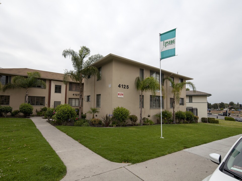 Buckingham Apartments in Los Angeles, CA - Building Photo