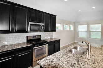 16210 Stoney Elms Ct in Houston, TX - Building Photo - Building Photo