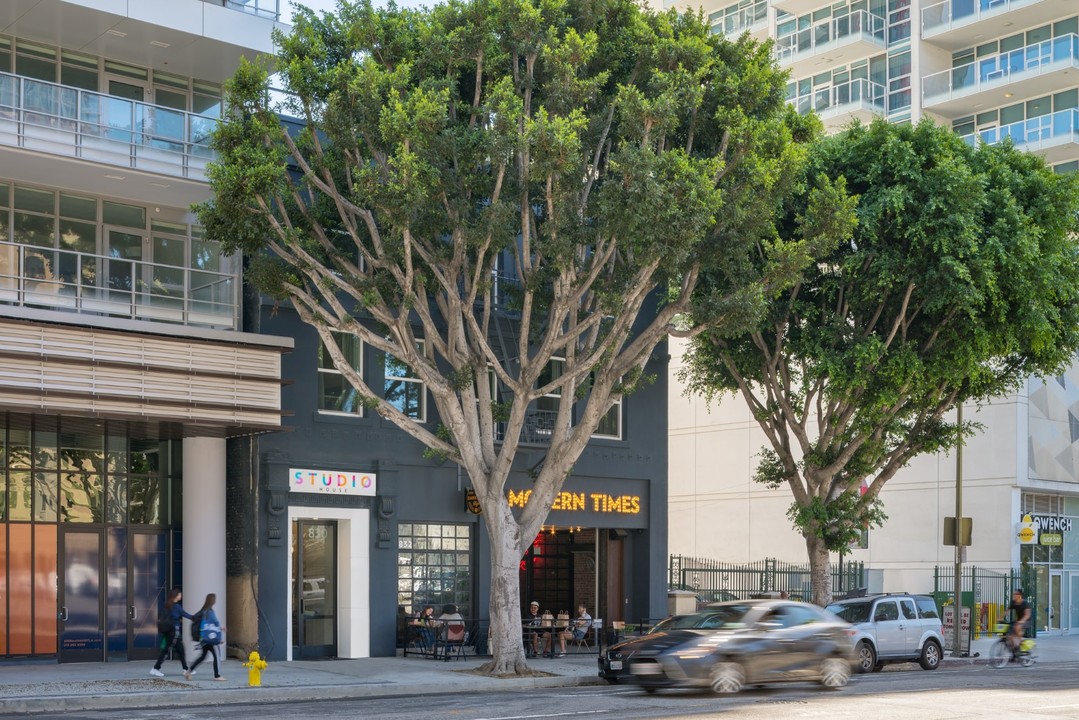 Studio House in Los Angeles, CA - Building Photo